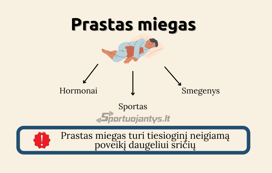 prastas miegas